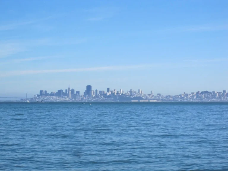 Your Customers’ Experience.